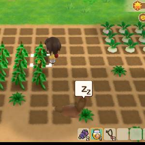 Story of Seasons Friends of Mineral Town - Crops
