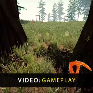 The Forest PS4 Gameplay Video