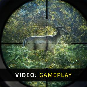 theHunter Call of the Wild Master Hunter Bundle Gameplay Video