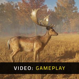 theHunter Call of the Wild Tents and Ground Blinds Gameplay Video