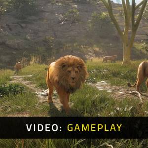 theHunter Call of the Wild Vurhonga Savanna - Gameplay Video