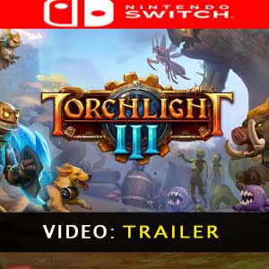 torchlight 3 switch