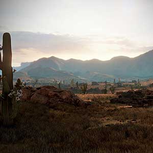 Wild West Online - Desert