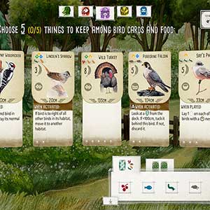 Wingspan - Bird cards