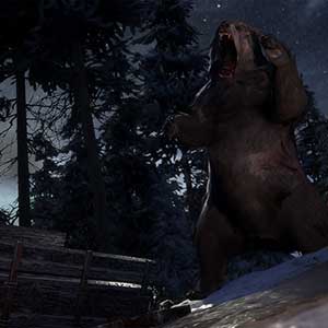 Winter Survival Simulator - Wild Bear